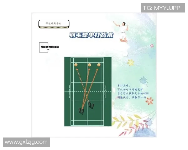 杭州羽毛球队进攻体系解析与战术运用探讨